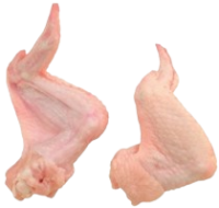 imagem de Asa